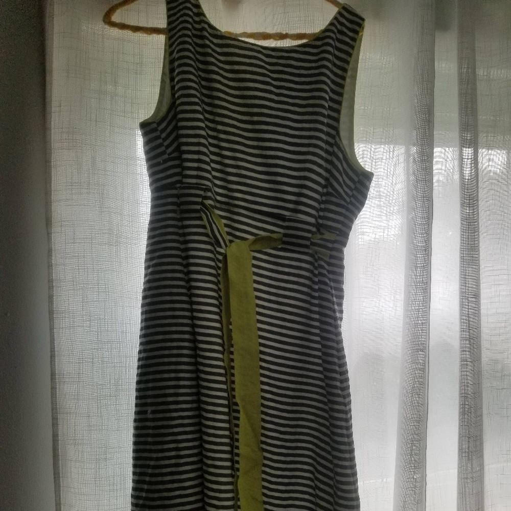 Anne taylor loft dress